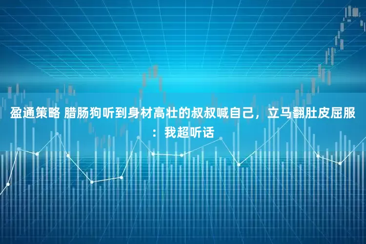 盈通策略 腊肠狗听到身材高壮的叔叔喊自己，立马翻肚皮屈服：我超听话